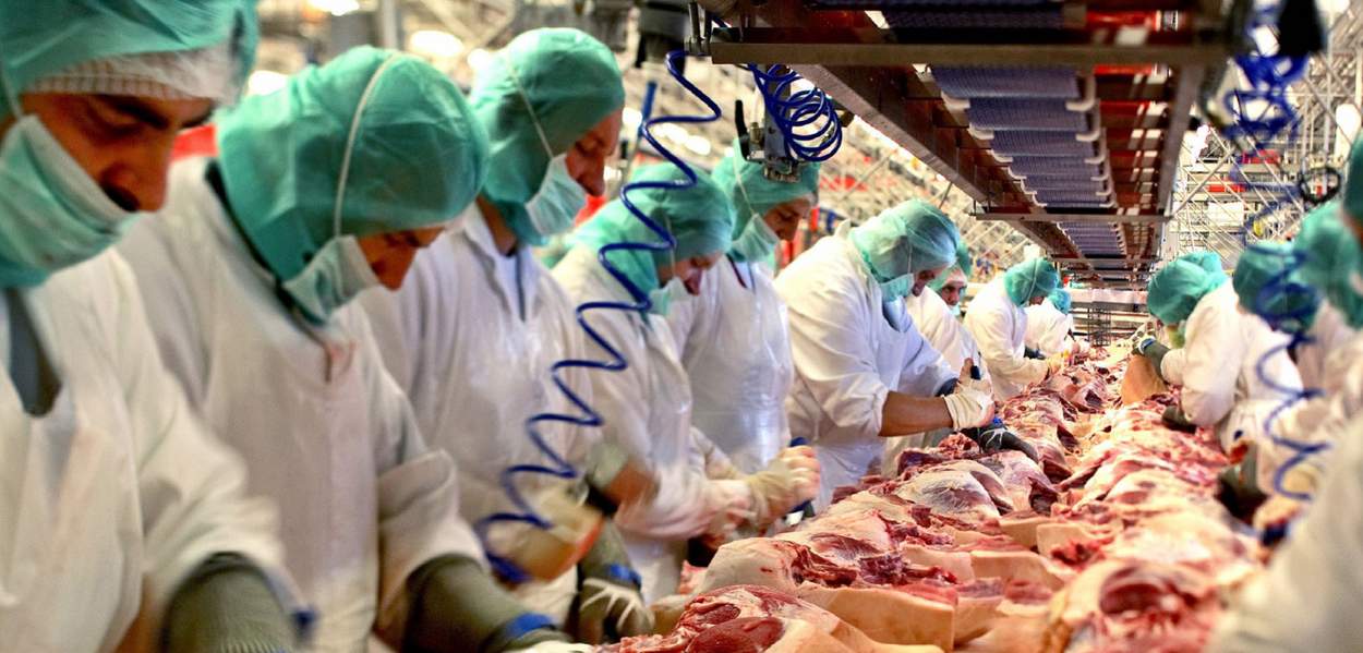 Einblicke in einen Schlachthof